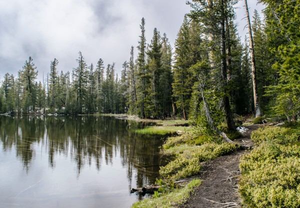 Serenity in Nature by Clare Kathleen Cornelius